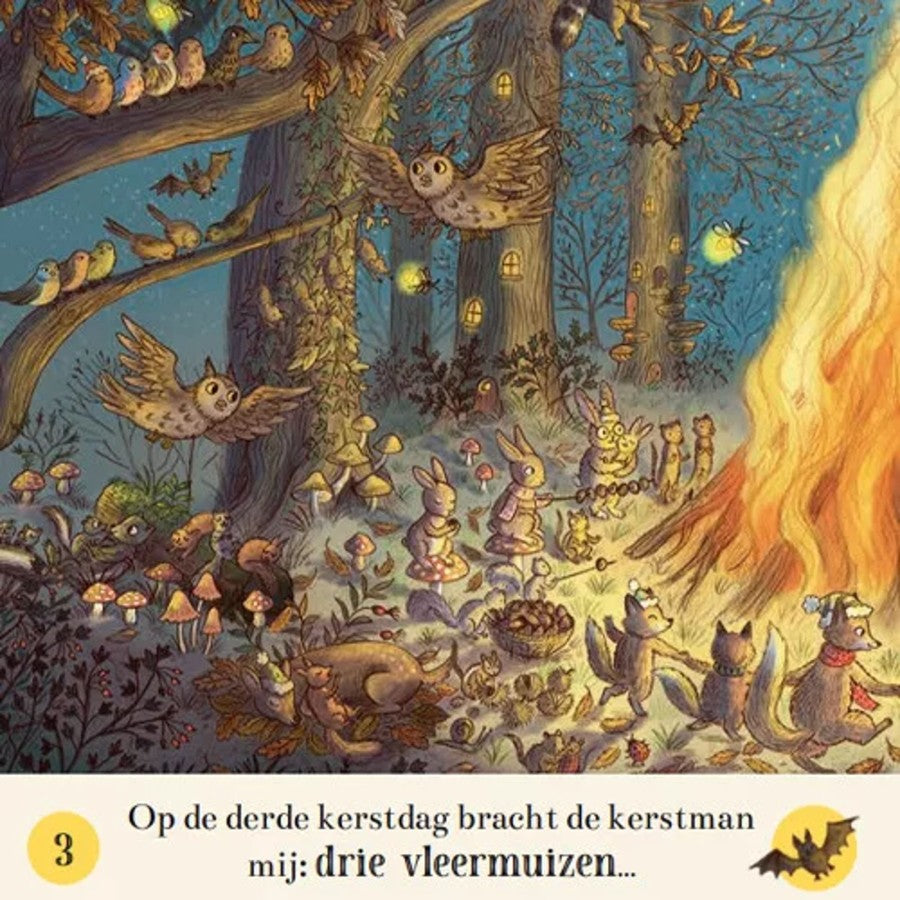 Zoekboek Kerst | De twaalf kerstdagen