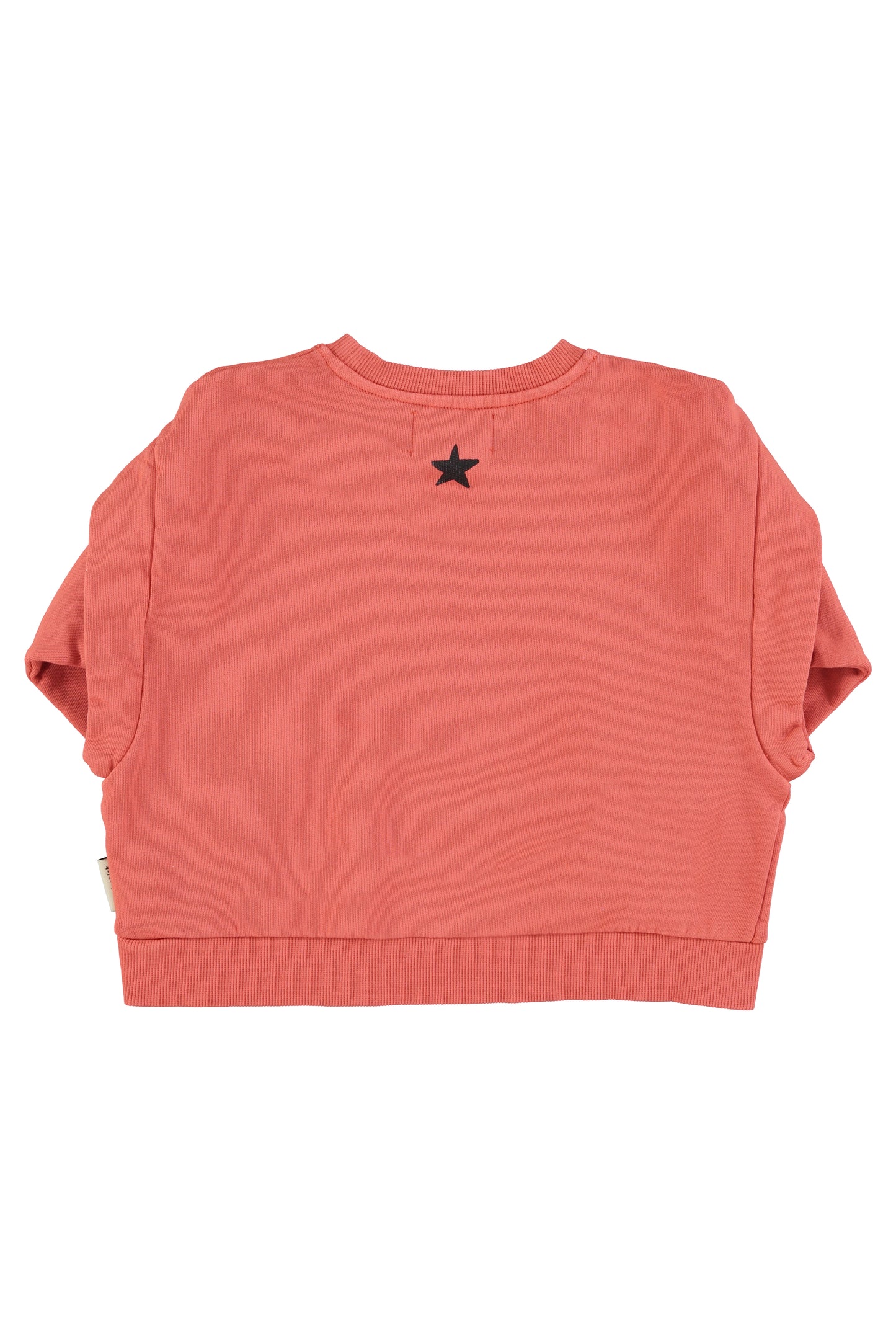 Piupiuchick | Sweatshirt | Pink w/ groupie