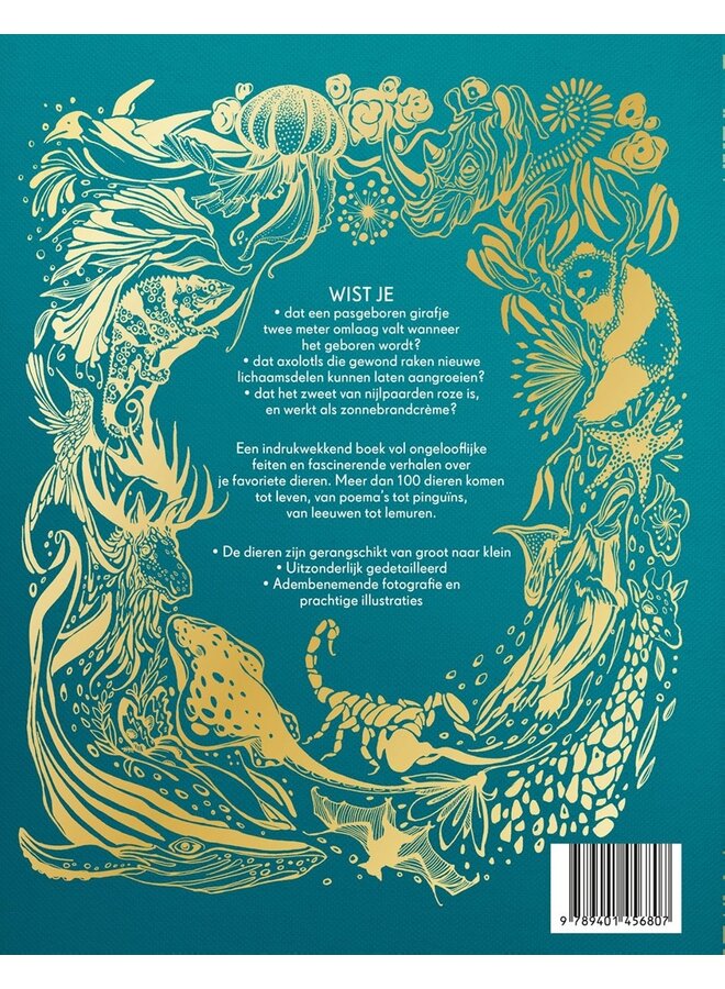 Het Dikke boek van alle bijzondere dieren | Ben Hoare