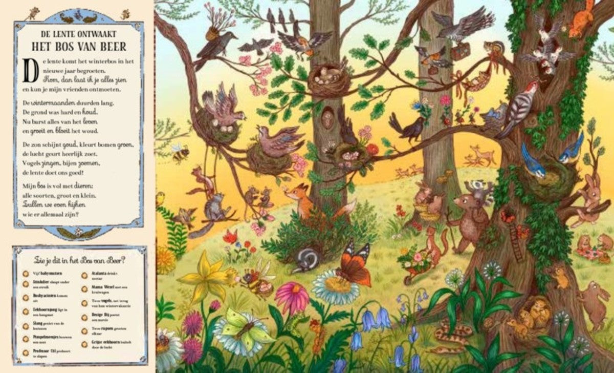 Zoekboek | Bezoek het bijzondere bos van beer