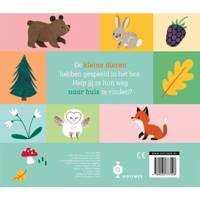 Schuifboekje | kom je thuis, klein konijntje?