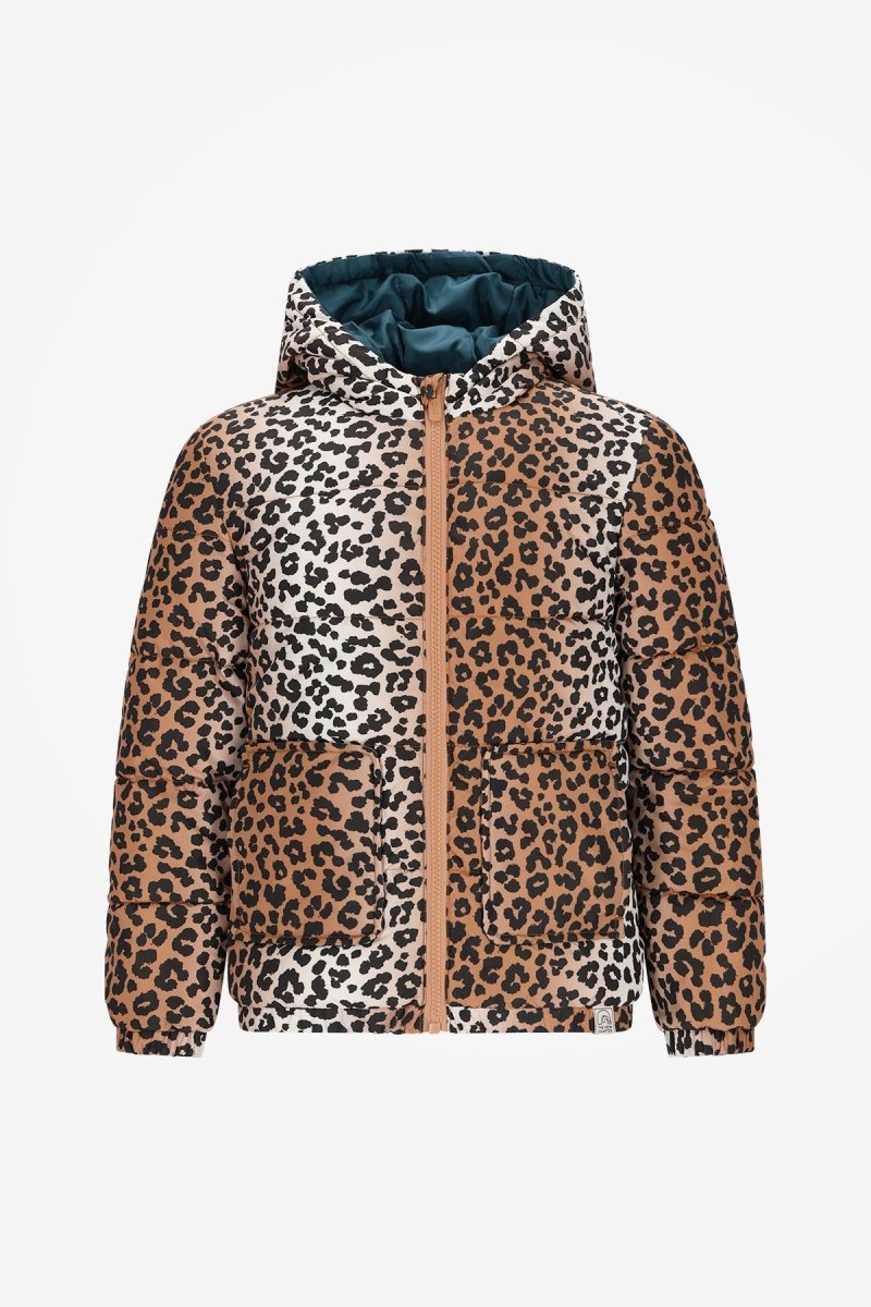 The New Chapter | Mosi leopard