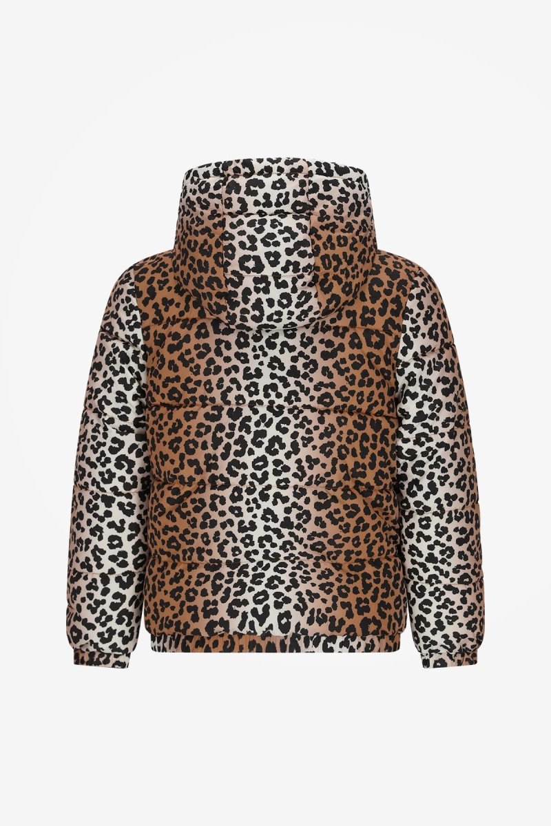 The New Chapter | Mosi leopard