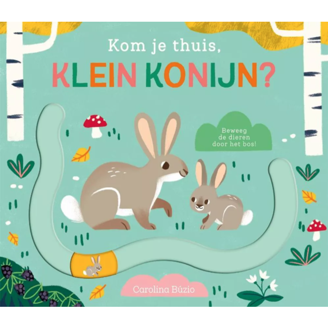 Schuifboekje | kom je thuis, klein konijntje?