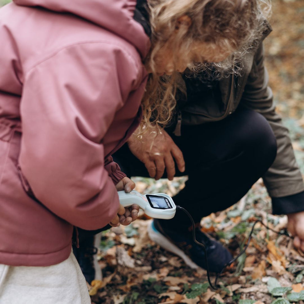 Kidywolf | Kidyexplore