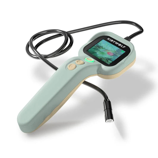 Kidywolf | Kidyexplore