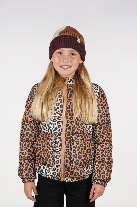 The New Chapter | Mosi leopard